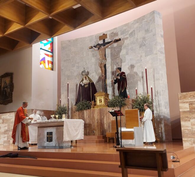 Domingo de Ramos, Ramos, Semana Santa, Parroquia San Juan Pagblo II (7)