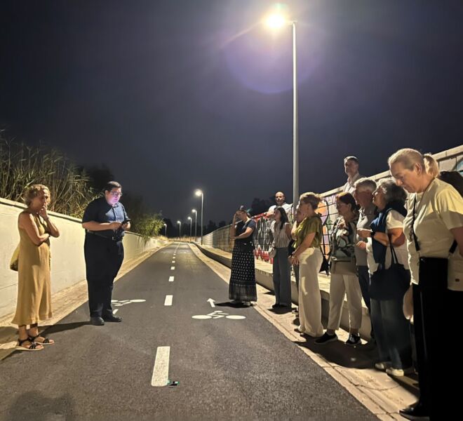 Peregrinación Virgen de los Reyes, 2026 (2)